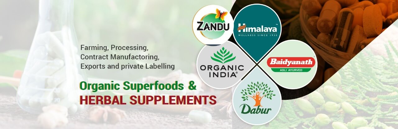 Company Website Banner 2