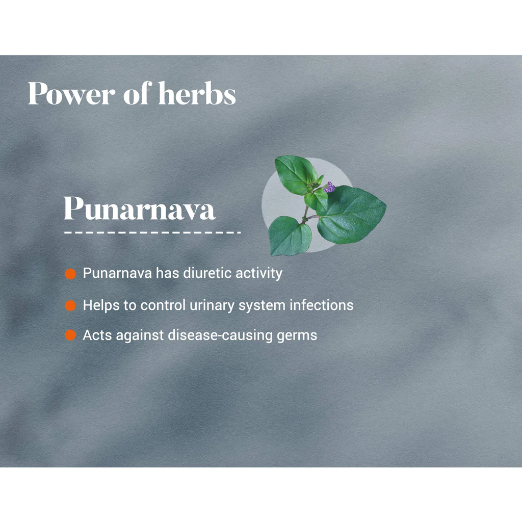 Punarnava Tablet - Image 4